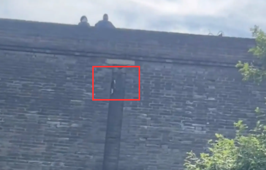 旅游偶遇爬城墙的猫咪。猫：无人扶猫凌云志，我自踏雪上山巅 