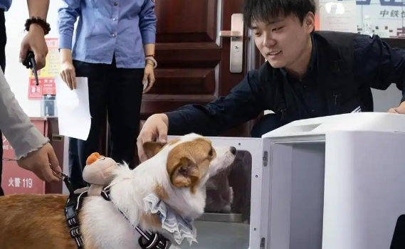 杭州东站开启宠物托运服务，“毛孩子”也能坐高铁啦！