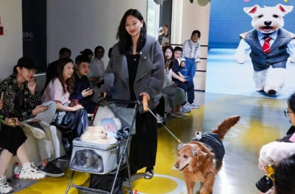 杭州举办宠物时装周 拥抱“黑科技”弄潮“它时尚”