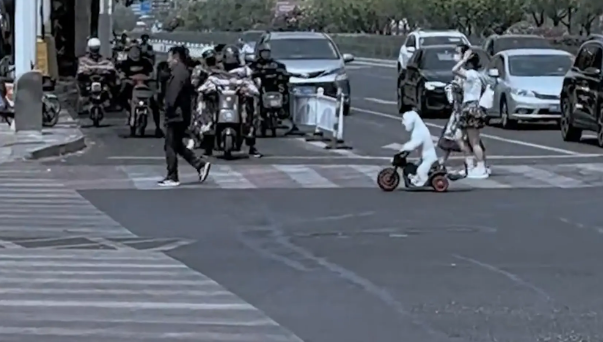 女子大街上看到狗狗骑电动车，以为自己眼花了