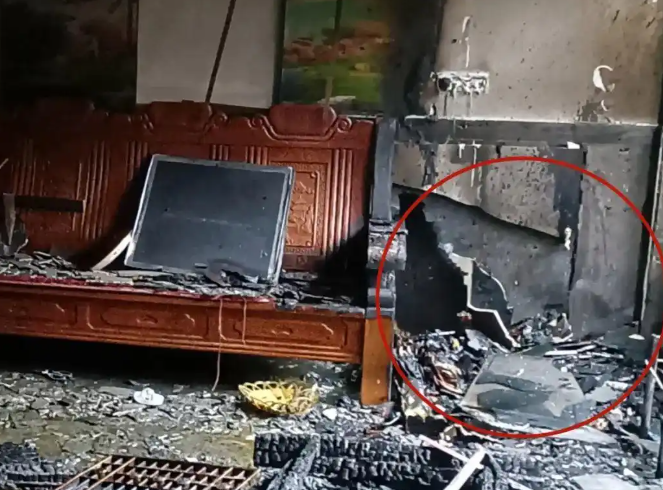 警惕！女孩养了6年的“爱龟”被烧成了渣！