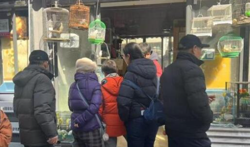 冷门动物催生“热经济”，异宠撬动百亿新赛道