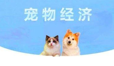 “它经济”刹车？年内暴涨36%！