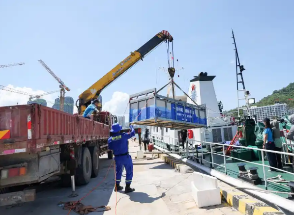 海南三亚：糙齿海豚被成功放归大海