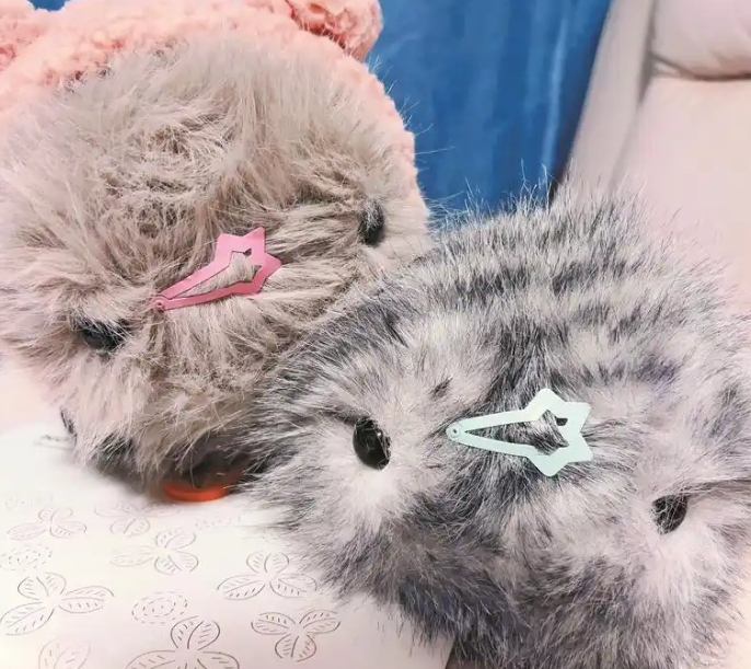 不用喂养不用遛 伴你欢喜伴你忧 AI宠物能陪你一辈子