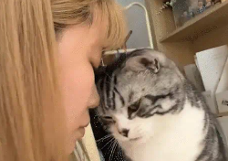 猫咪在女子背后蛐蛐她，女子一转头猫咪就变乖巧