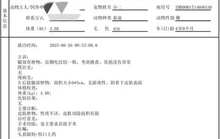 宠物狗长肿瘤手术后保险“拒赔”