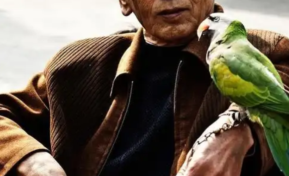 98岁奶奶的 “时差守护者”