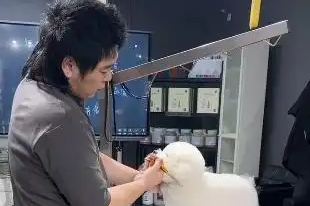 90后男生给狗狗做造型年入百万，成宠物界“超级Tony”