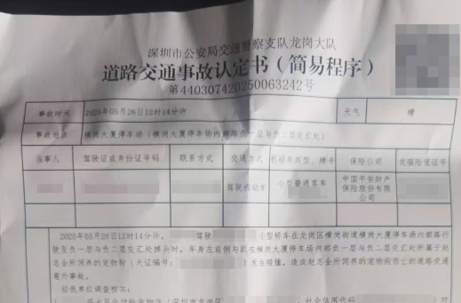送宠物店洗澡的小狗因店员疏忽跑出被撞死：主人索赔数万，协商未果