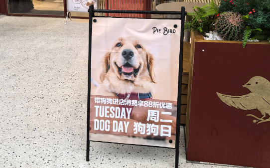 宠物友好门店完善功能配套促进消费升级