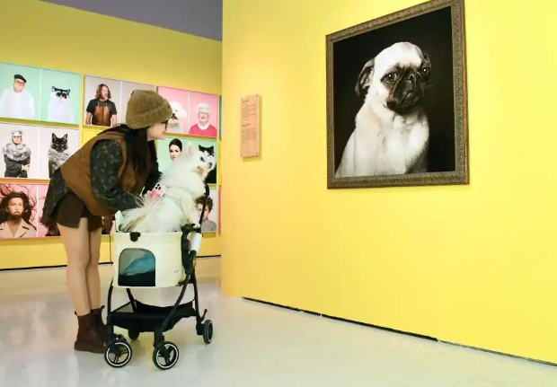 助力“宠物经济”蓬勃发展