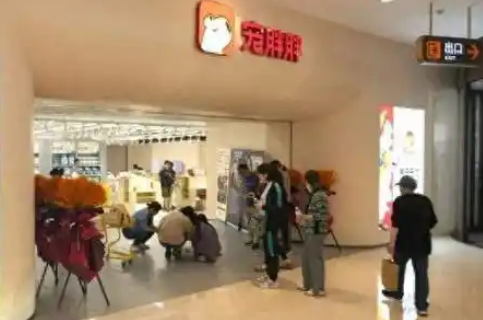 宠物首店、宠物航班……“它经济”激活普陀消费新潜能