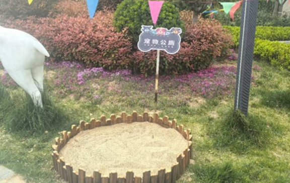 小区里有了“宠物公厕”，“毛孩子”上厕所方便啦！