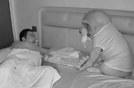 半夜网友醒来，睁眼一看发现狗狗正坐在床上盯着自己