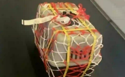 宠物犬跨国托运死亡，犬主人索赔16万余元起纷争