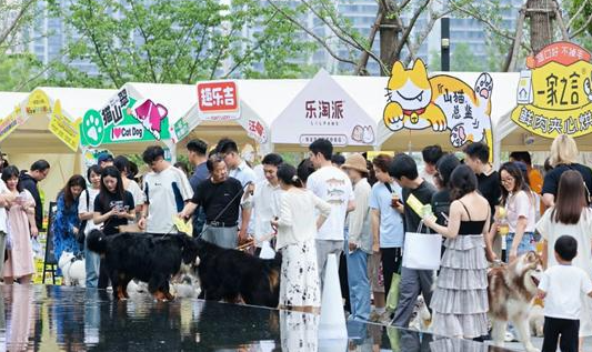 “宠友集”杭州市首届在地宠物生活节盛大开启