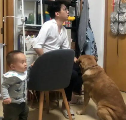 狗狗和孩子争宠，孩子把狗子踩在了脚底下