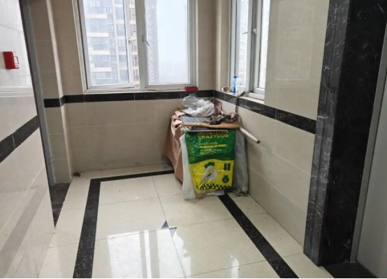 边牧被圈养楼道早晚狂吠，邻居苦不堪言