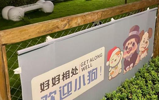 浙江多地打造宠物友好环境，引发网友关注