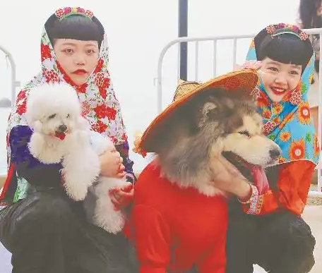 泉州抢占宠物时尚赛道