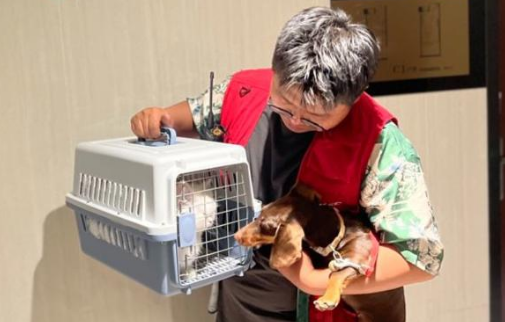 宠物经济升级：一条从生到死的新型产业链条