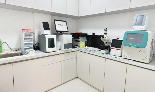 杭州宠物医院推出新型宠物医疗服，吸引大量消费者