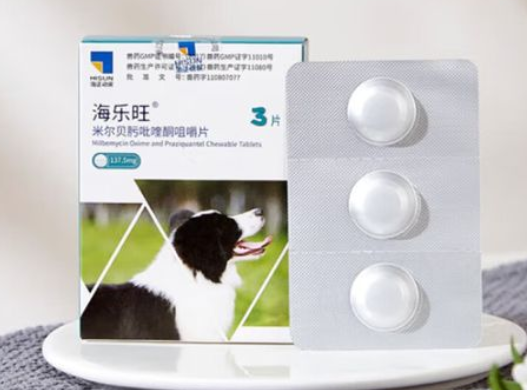 海正药业迈向全球动保舞台：宠物驱虫产品拿下东南亚市场入场券