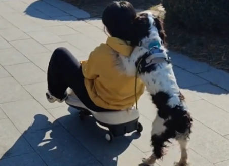 女子跟风买扭扭车让狗子拉自己，狗子却推着她往前走