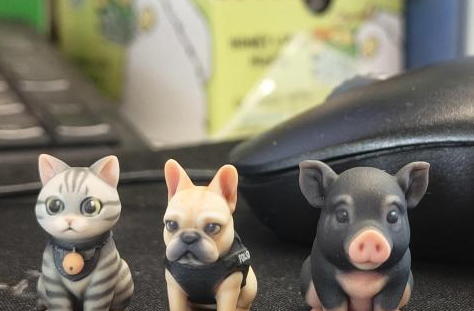 定制宠物纪念品热，消费者在仪式感中寻找情感出口