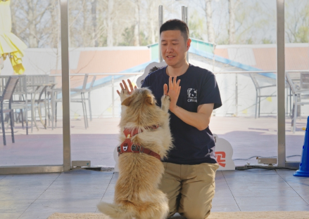 当玛氏用实际行动，为城市按下“宠物友好键”