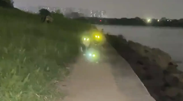 男子晚上带三只猫咪河边遛弯，猫咪眼睛发光像手电筒一样