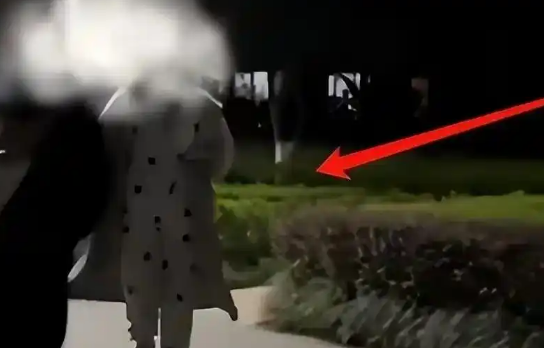 重庆恶犬伤人事件：遛狗不拴绳，逍遥法外3个月