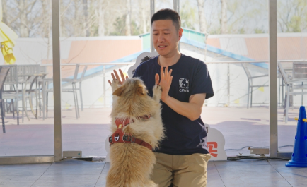 当玛氏用实际行动，为城市按下“宠物友好键”