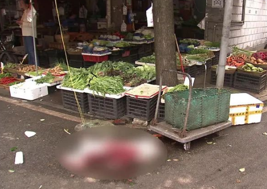 被房东的狗咬伤，男子挥刀将狗砍死！