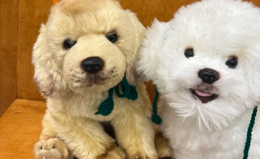 郑州海昌海洋公园开启 “宠物友好日”