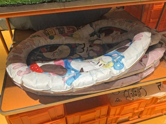 宠物防暑用品市场走俏，速来看看