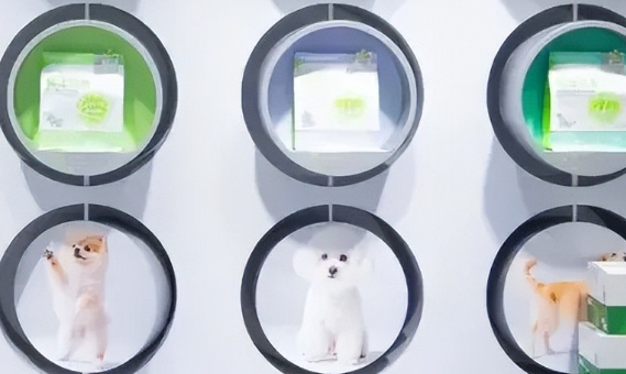 人还在蹲国补，狗已经用上新手机了