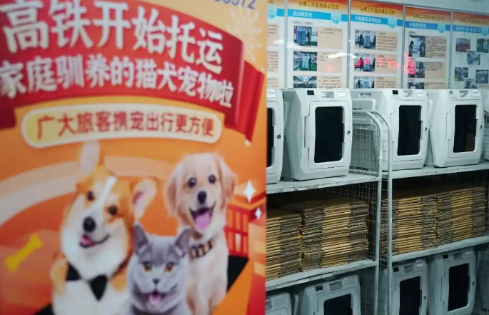 “养儿式”养宠模式，已成消费新趋势