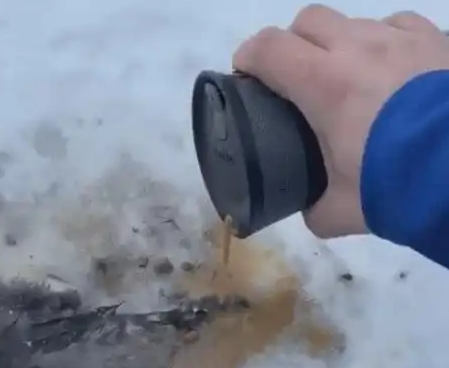 男子发现3只小猫的尾巴被冻住，用一杯热咖啡解救