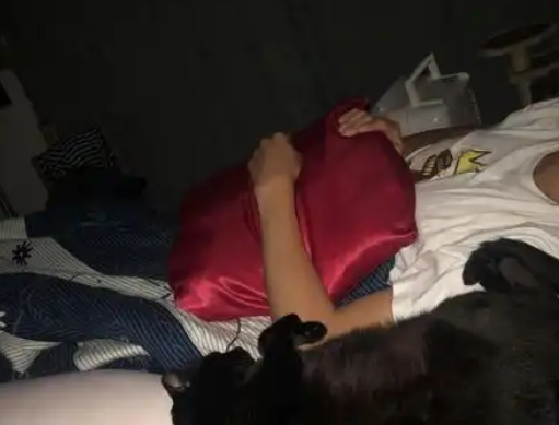主人晚上被猫咪“咬”醒，起来一看发现要生了