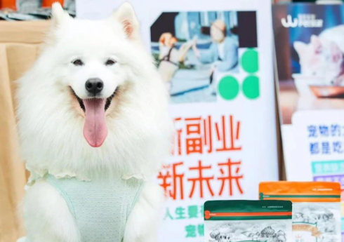 智慧养宠时代来临，科技如何重塑3000亿“它经济”新生态