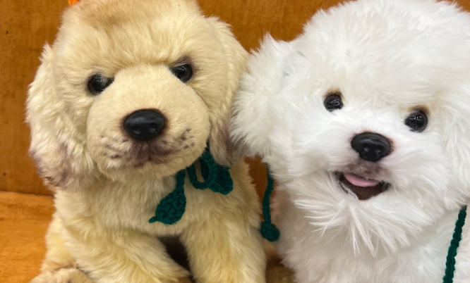 定制宠物纪念品市场火热，前景可观