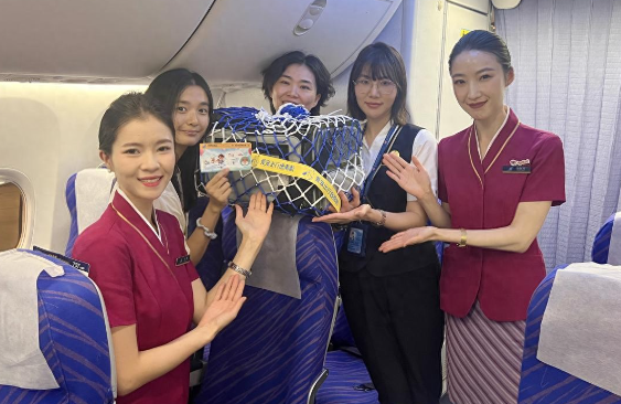 贵州首位“爱宠进客舱”萌宠顺利出行