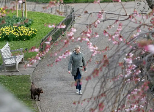 英国：生活成本上涨 宠物弃养增加