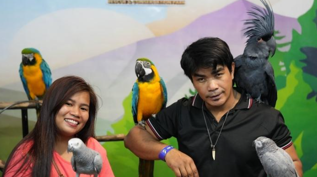 2025菲律宾宠物博览会吸引参观者