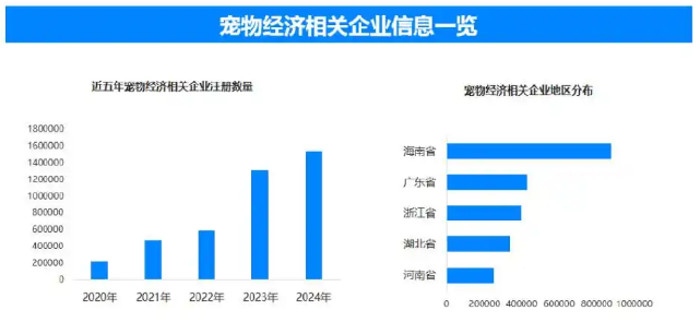 宠物经济有多火？年轻宠主：主打一个情绪价值