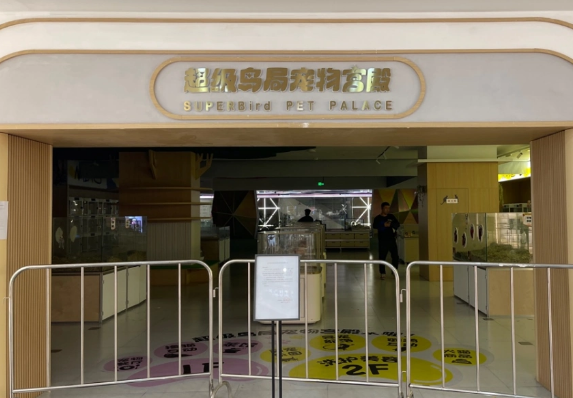 “超级鸟局”一宠物店关闭后有猫滞留？