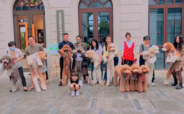 “宠友星派对”落地郑州，宠物友好赋能品牌年轻化战略
