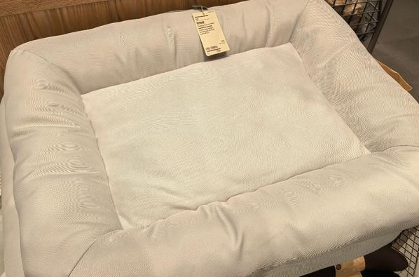 宠物防暑用品市场走俏，速来看看